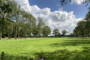 De nieuwsbrief van PvdA Zuidwest-Drenthe van september 2024